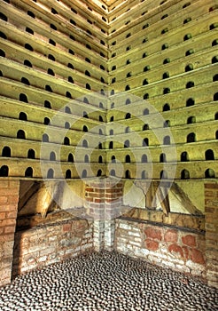 English dovecote