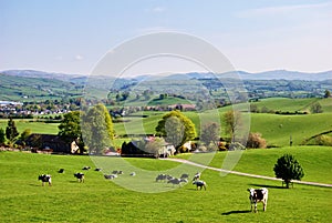 English field in Spring