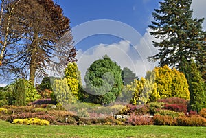 English garden in Autumn