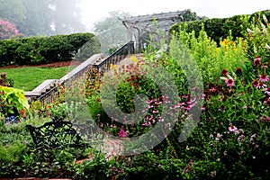 English Garden in Fog