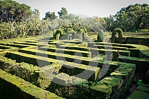 English green labyrinth with a cloudy sky