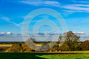 English green meadow on a sunny day, a typical rural landscape o