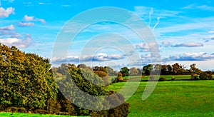 English green meadow on a sunny day, a typical rural landscape o