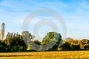 English green meadow on a sunny day, a typical rural landscape o