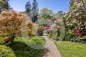 English landscape garden in Spring