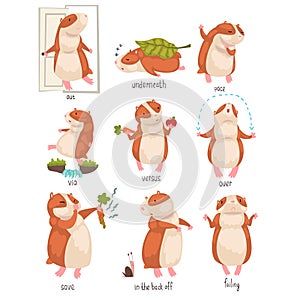 English Language Prepositions of Place and Cute Hamster Character Set, Educational Visual Material for Children