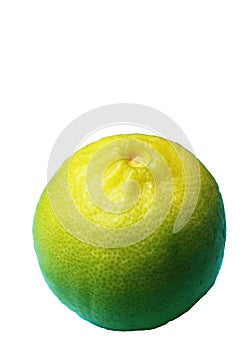 English lime is called Mexica lime, West Indian lime, and Key lime, or short lime. photo