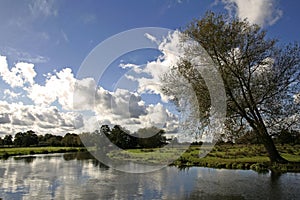 English meadow river wey surrey countryside photo