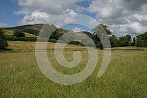 English Meadow and the Sedbergh and the Howgill Fells, Cumbria, England