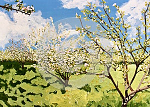 English Orchard in full blossom, Spring