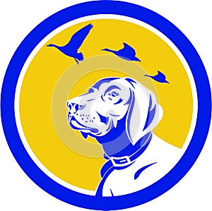 English Pointer Dog Head Looking Up Circle Retro