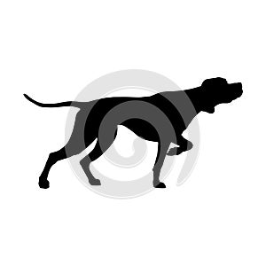 English pointer silhouette