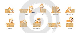 English preposition. Funny study prepositions, cartoon dog and box. Foreign language learning materials, grammar child