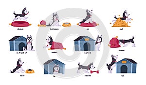 English prepositions with dogs. Cartoon puppy standing and sitting behind or above beside different objects. Pet in