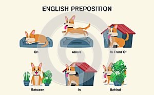 English prepositions. Educational visual material for kids learning language. Cute corgi dog pet on, above, front, between, in,