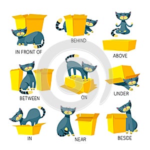 English Prepositions of Place Visual Aid for Children. Cute Cat Character in Different Poses Playing with Carton Box