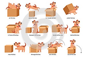 English Prepositions of Place Visual Aid for Children. Cute Dog Character in Different Poses Playing with Carton Box