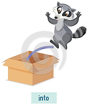 English prepositions, raccoons action into boxes