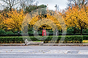 English red telephone box in park during autumn