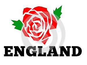 English rose England