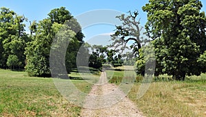 An English Rural Landscape