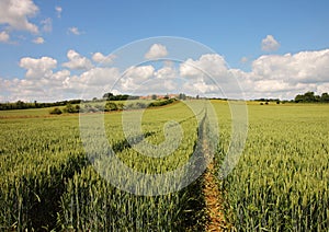 An English Rural Landscape