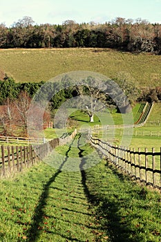 An English Rural Landscape in the Chiltern Hills