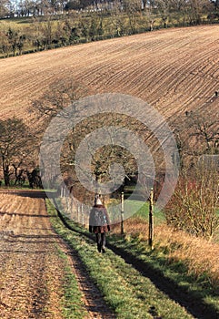 An English Rural Landscape in the Chiltern Hills