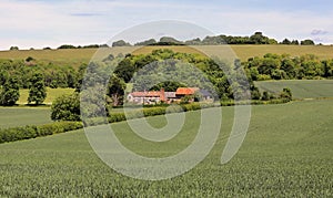 An English Rural Landscape in the Chiltern Hills