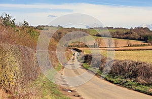 An English Rural Landscape in the Chiltern Hills