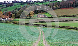 An English Rural Landscape in the Chiltern Hills