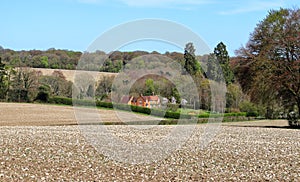 An English Rural Landscape in the Chiltern Hills