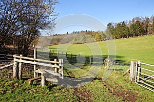 English Rural Landscape with Stile by a Farm Track