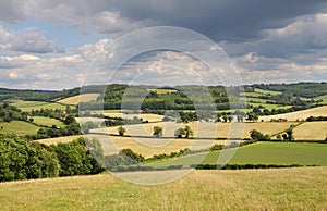 An English Rural Landscape in Summer