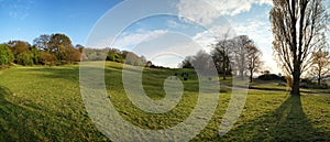 English rural scene with cows