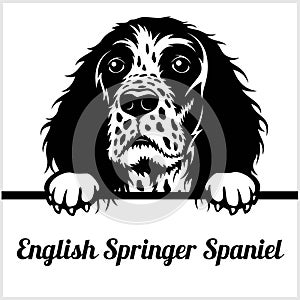 English Springer Spaniel - Peeking Dogs - - breed face head isolated on white