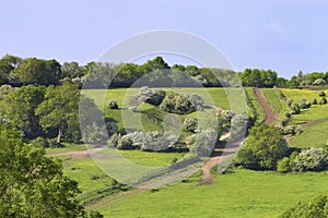 English summer countryside with riding paths