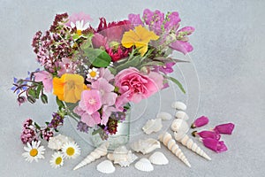 Beautiful Summer Flower and Herb Composition and Seashells