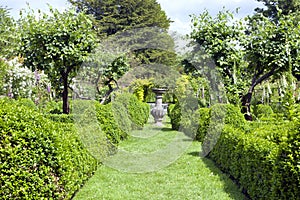 English summer garden with ornamental pot