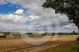 English summers day at harvest time.