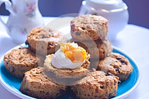 English tea biscuits, English scones