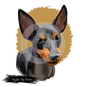 English Toy Terrier, Black and tan dog digital art illustration isolated on white background. England origin toy dog. Cute pet