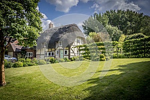 English Village Thatched Cottage and garden