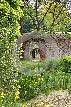 An English Walled Garden photo