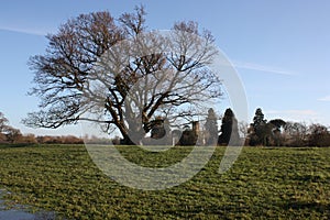 English Winter Landscape.