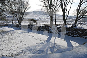 English winter landscape, Dartmoor National Park, UK