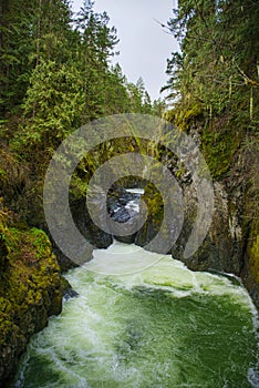 Englishman River Falls lower waterfalls section in Vancouver Isl