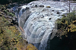 Englishman River Falls Provincial Park near Parksville, Vancouver Island, British Columbia