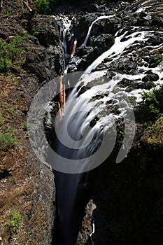Englishman River Falls- Provincial Park(Vancouver Island) Canada