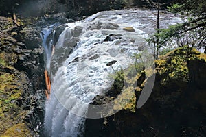 Englishman River Falls Provincial Park with Waterfall disappearing in deep Canyon, Vancouver Island, British Columbia